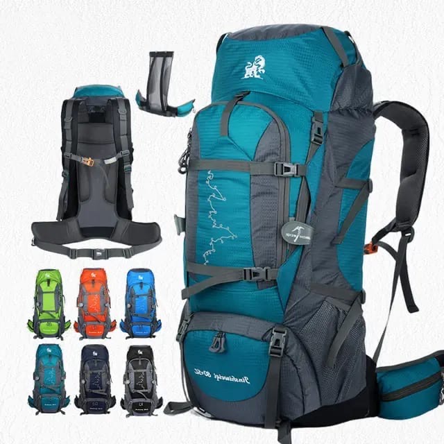 Backpacking Pack